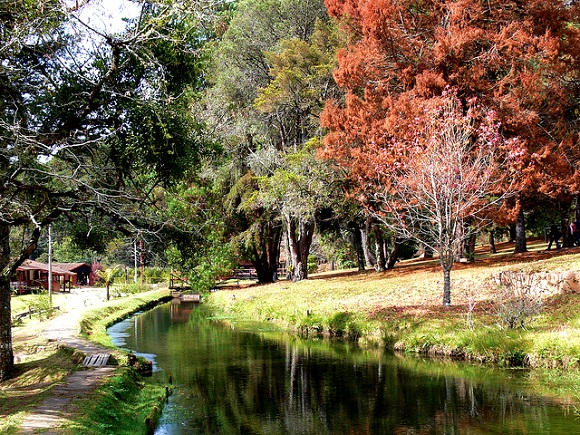 O que fazer em Campos do Jordão