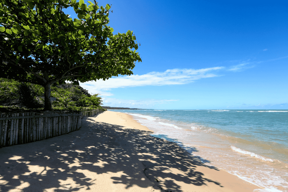 Praia de Itapororoca